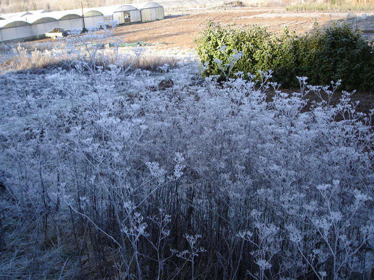 Hiver_12_© Jean-ClaudeMillot.jpg